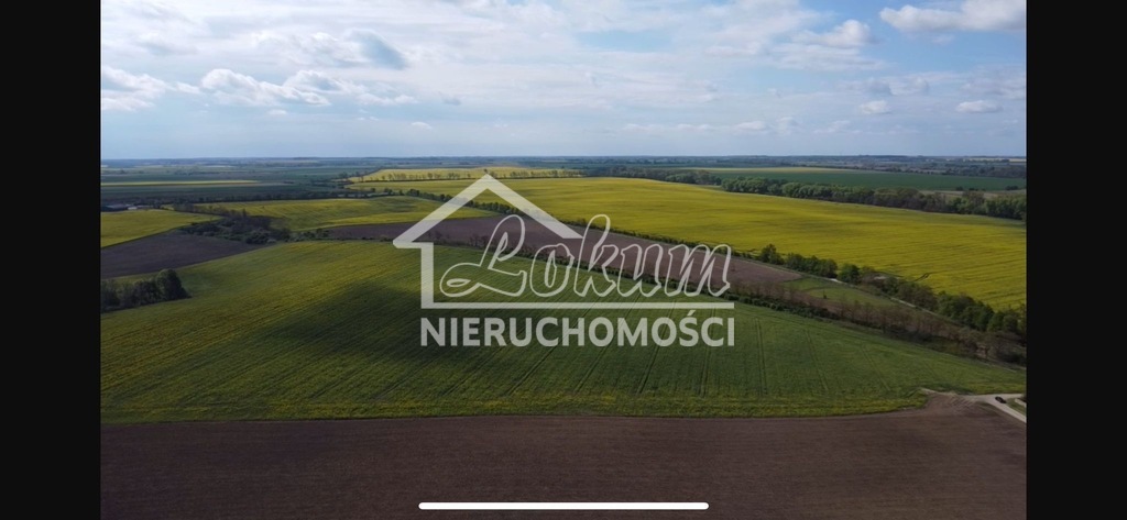 Działka budowlana 1000&nbsp;m², Pyrzyce - zdjęcie 3