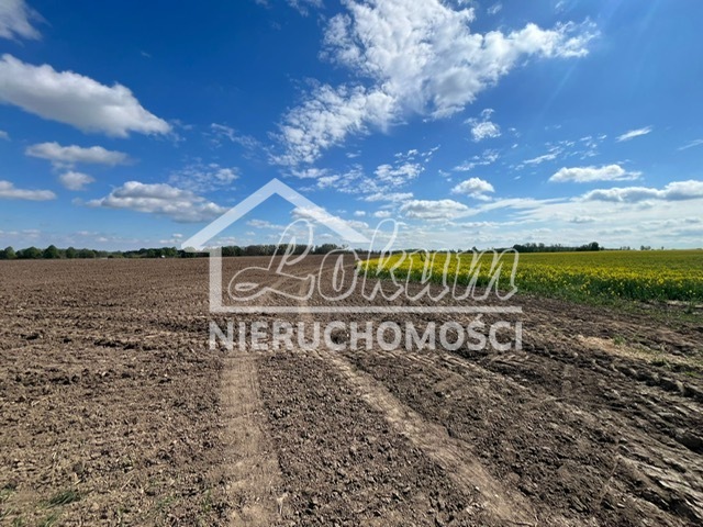 Działka budowlana 1000&nbsp;m², Pyrzyce - zdjęcie 4