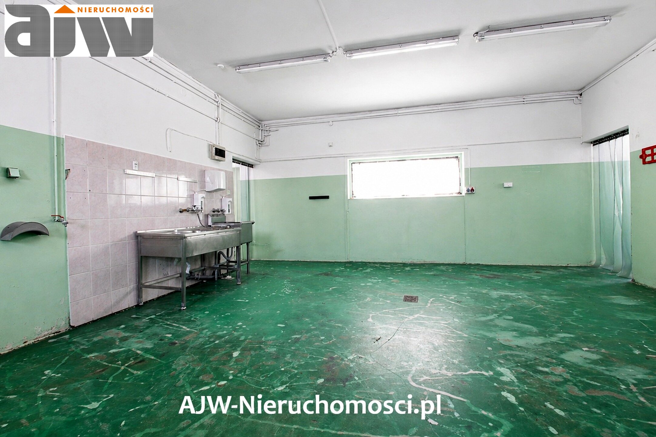Wynajmę lokal 260 m2 parter, Laski pod Warszawą. - zdjęcie 4
