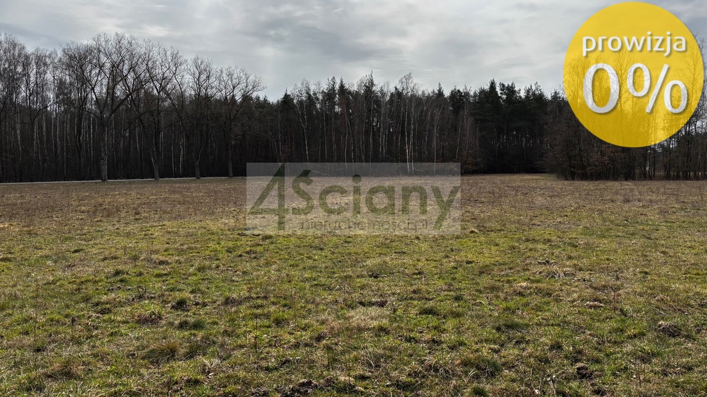 Działka rolna 3034 m², Chudolipie - zdjęcie 4
