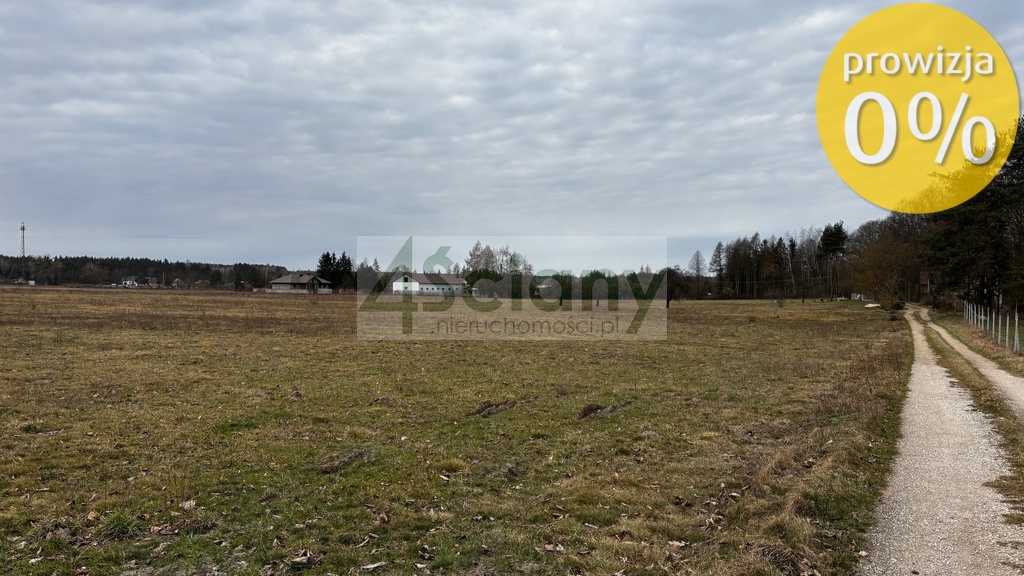 Działka rolna 3034 m², Chudolipie - zdjęcie 5
