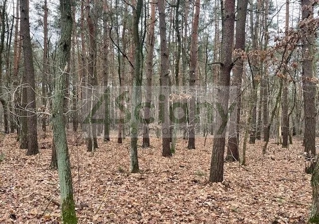 Działka budowlana 6500 m², Książenice - zdjęcie 4