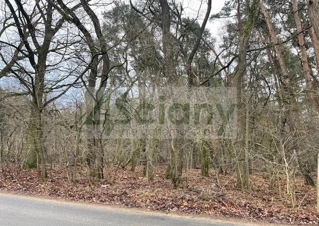 Działka budowlana 6500 m², Książenice - zdjęcie 1
