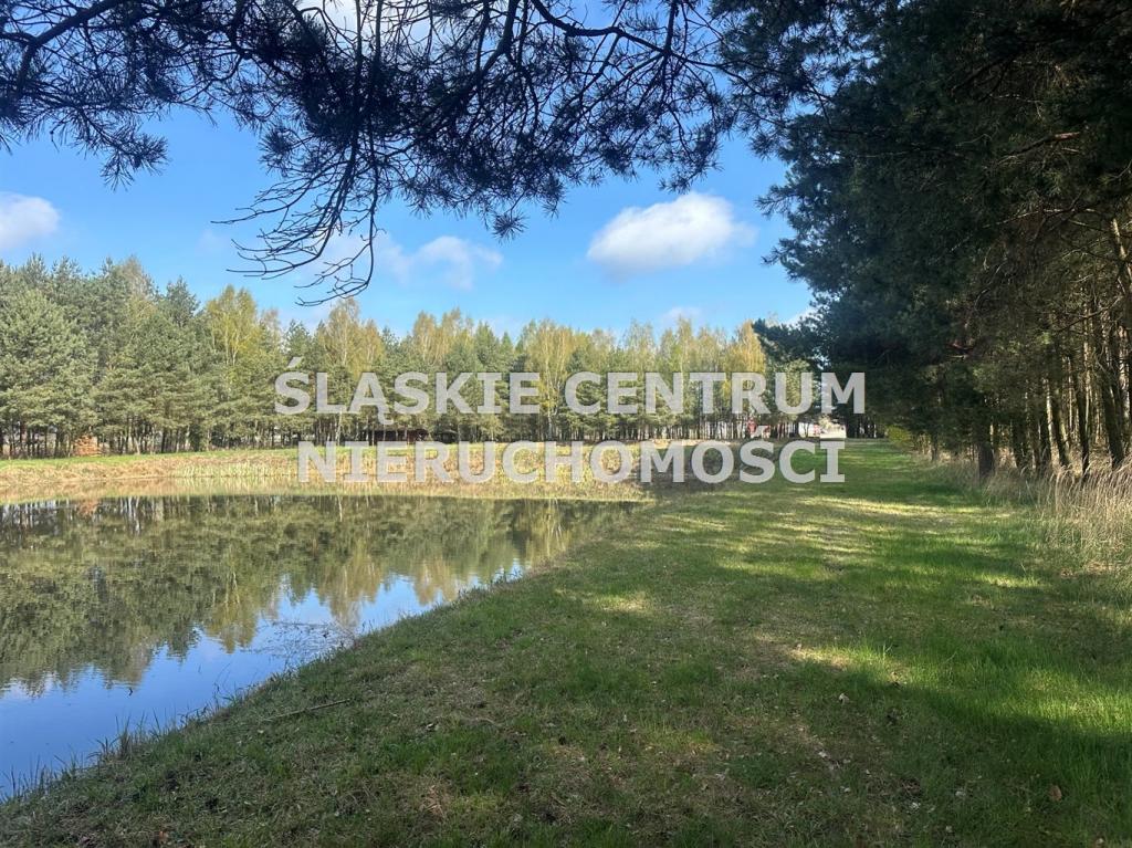Działka gospodarstwo 5,96 ha, Ługi-Radły, Kościelna - zdjęcie 1