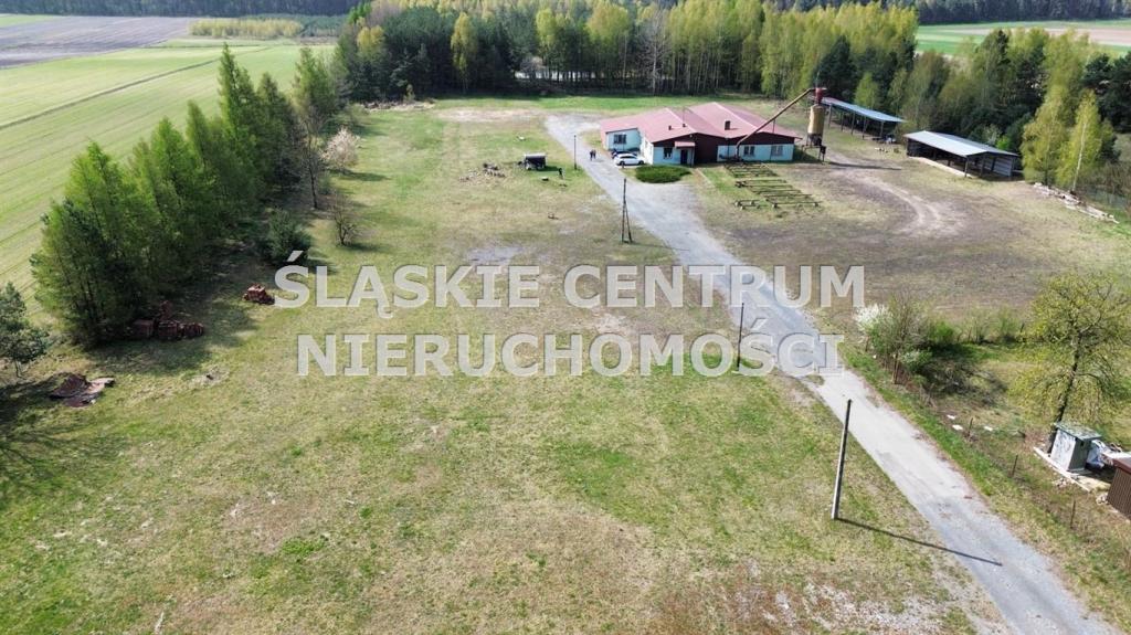 Działka gospodarstwo 5,96 ha, Ługi-Radły, Kościelna - zdjęcie 3