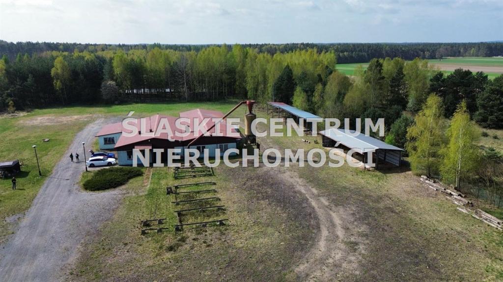 Działka gospodarstwo 5,96 ha, Ługi-Radły, Kościelna - zdjęcie 10