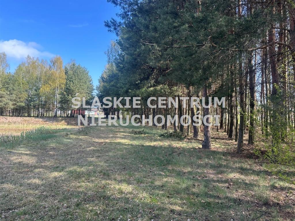 Działka gospodarstwo 5,96 ha, Ługi-Radły, Kościelna - zdjęcie 15