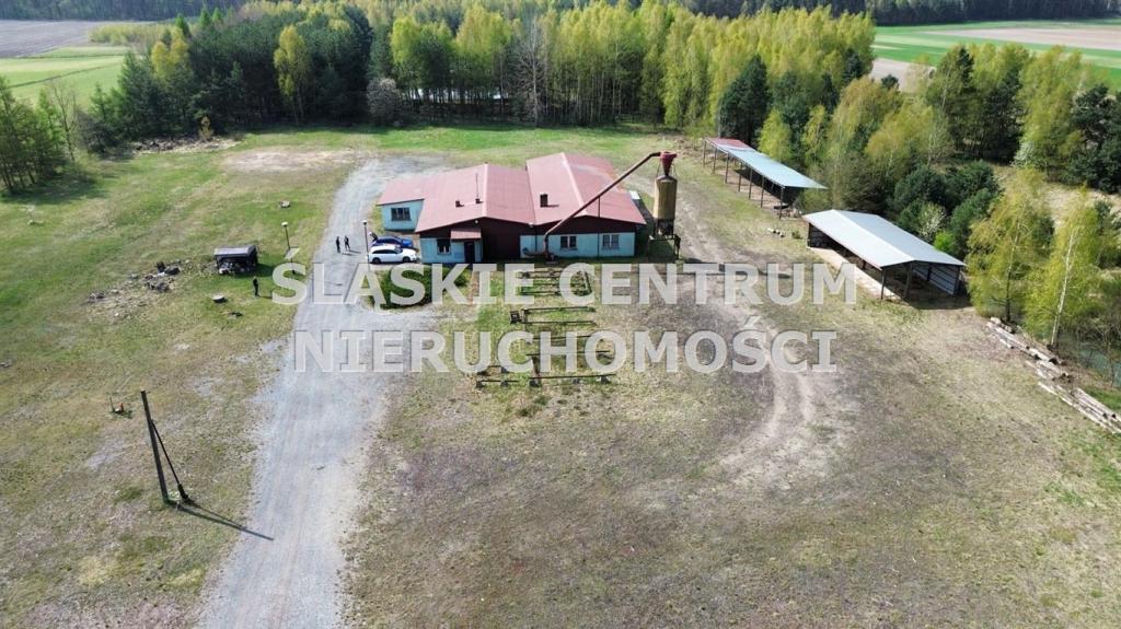 Działka gospodarstwo 5,96 ha, Ługi-Radły, Kościelna - zdjęcie 12