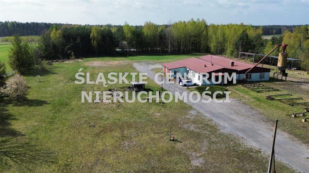 Działka gospodarstwo 5,96 ha, Ługi-Radły, Kościelna - zdjęcie 11