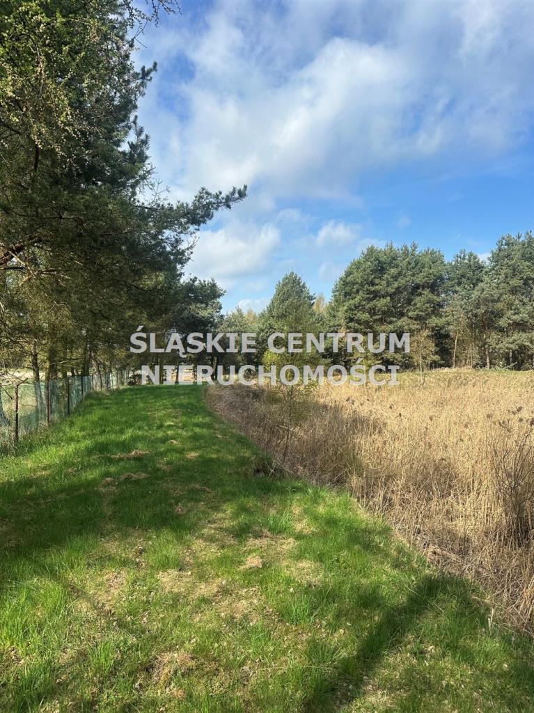 Działka gospodarstwo 5,96 ha, Ługi-Radły, Kościelna - zdjęcie 17