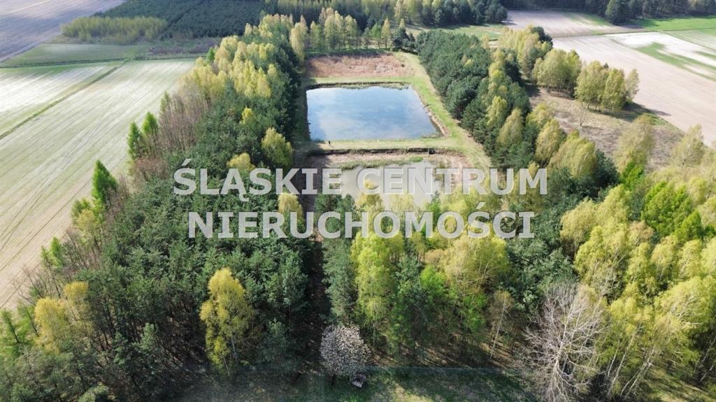 Działka gospodarstwo 5,96 ha, Ługi-Radły, Kościelna - zdjęcie 6