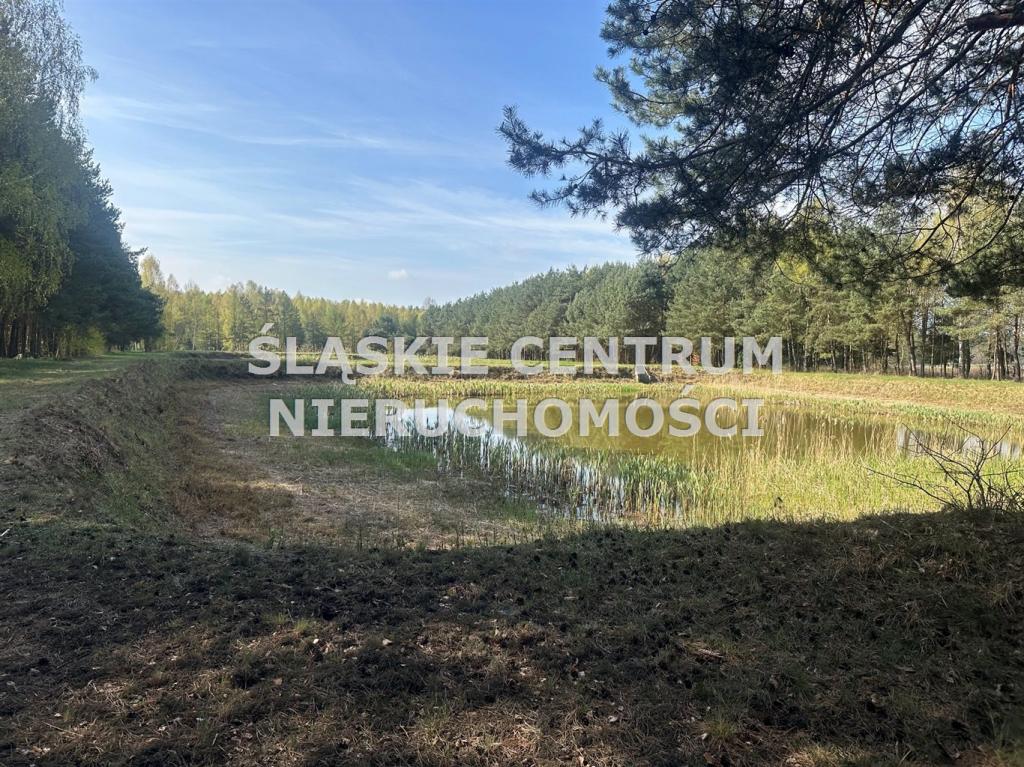 Działka gospodarstwo 5,96 ha, Ługi-Radły, Kościelna - zdjęcie 14