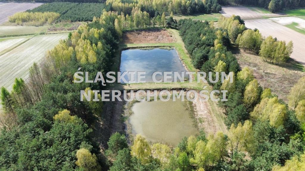 Działka gospodarstwo 5,96 ha, Ługi-Radły, Kościelna - zdjęcie 7