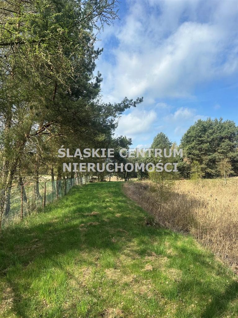 Działka gospodarstwo 5,96 ha, Ługi-Radły, Kościelna - zdjęcie 18