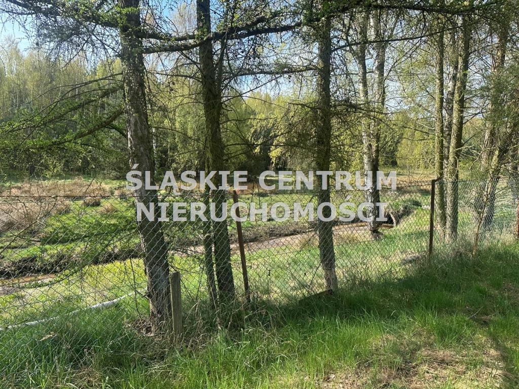 Działka gospodarstwo 5,96 ha, Ługi-Radły, Kościelna - zdjęcie 16
