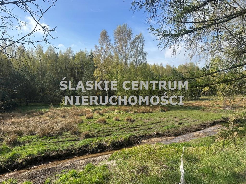 Działka gospodarstwo 5,96 ha, Ługi-Radły, Kościelna - zdjęcie 19