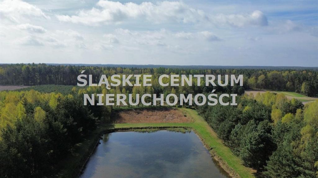 Działka gospodarstwo 5,96 ha, Ługi-Radły, Kościelna - zdjęcie 9