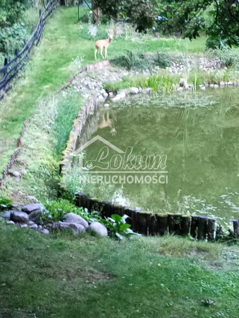 Działka rekreacyjna 1900&nbsp;m², Parlino - zdjęcie 2