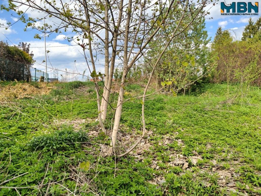 Działka budowlana 723 m², Gajewo - zdjęcie 12