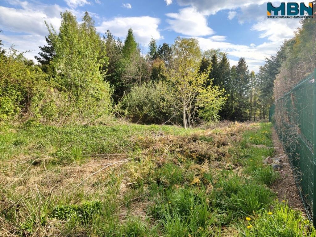 Działka budowlana 723 m², Gajewo - zdjęcie 8