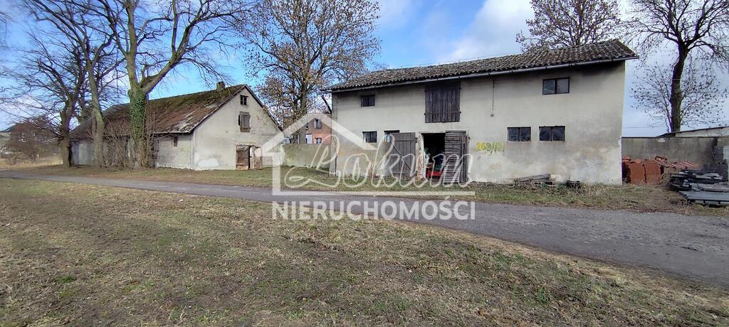 Lokal usługowy na sprzedaż, 675&nbsp;m², Budno - zdjęcie 5