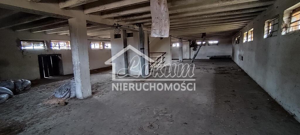 Lokal usługowy na sprzedaż, 675&nbsp;m², Budno - zdjęcie 13