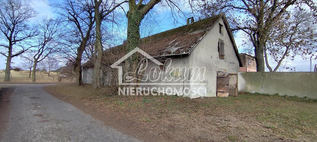 Lokal usługowy na sprzedaż, 675&nbsp;m², Budno - zdjęcie 4