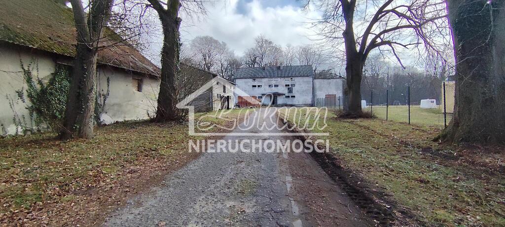 Lokal usługowy na sprzedaż, 675&nbsp;m², Budno - zdjęcie 1