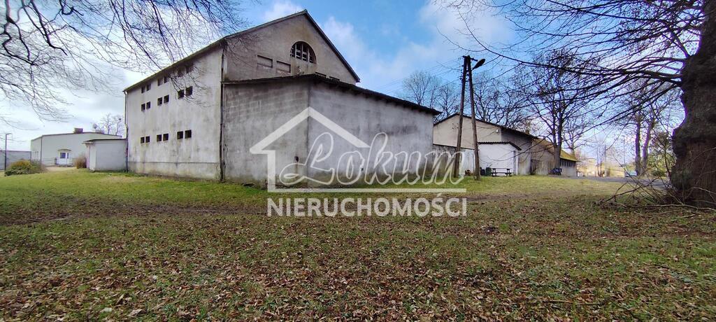 Lokal usługowy na sprzedaż, 675&nbsp;m², Budno - zdjęcie 10