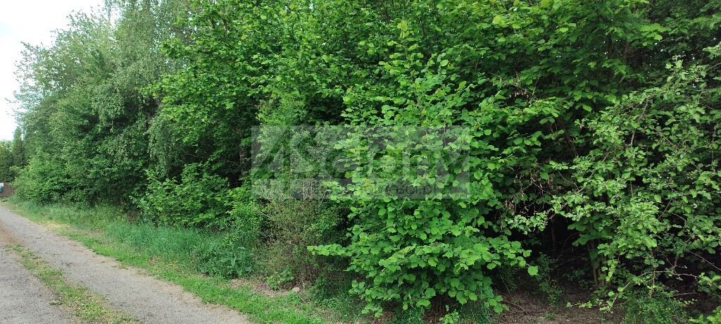 Działka budowlana 1000 m², Krupia Wólka - zdjęcie 1