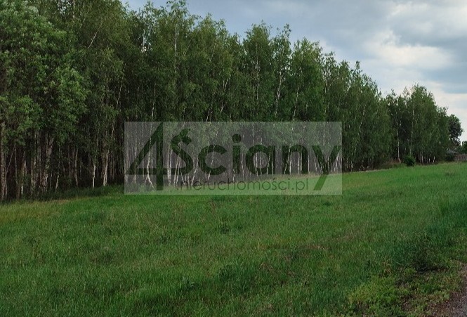 Działka budowlana 2000 m², Krupia Wólka - zdjęcie 3