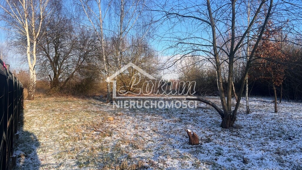 Działka budowlana 1000&nbsp;m², Dołuje - zdjęcie 4