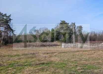 Działka budowlana 800 m², Michałów - zdjęcie 1
