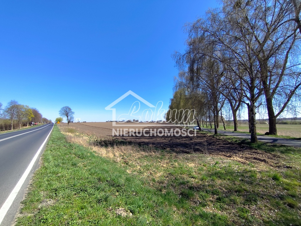 Działka inwestycyjna 6,42&nbsp;ha, Wojcieszyn - zdjęcie 3