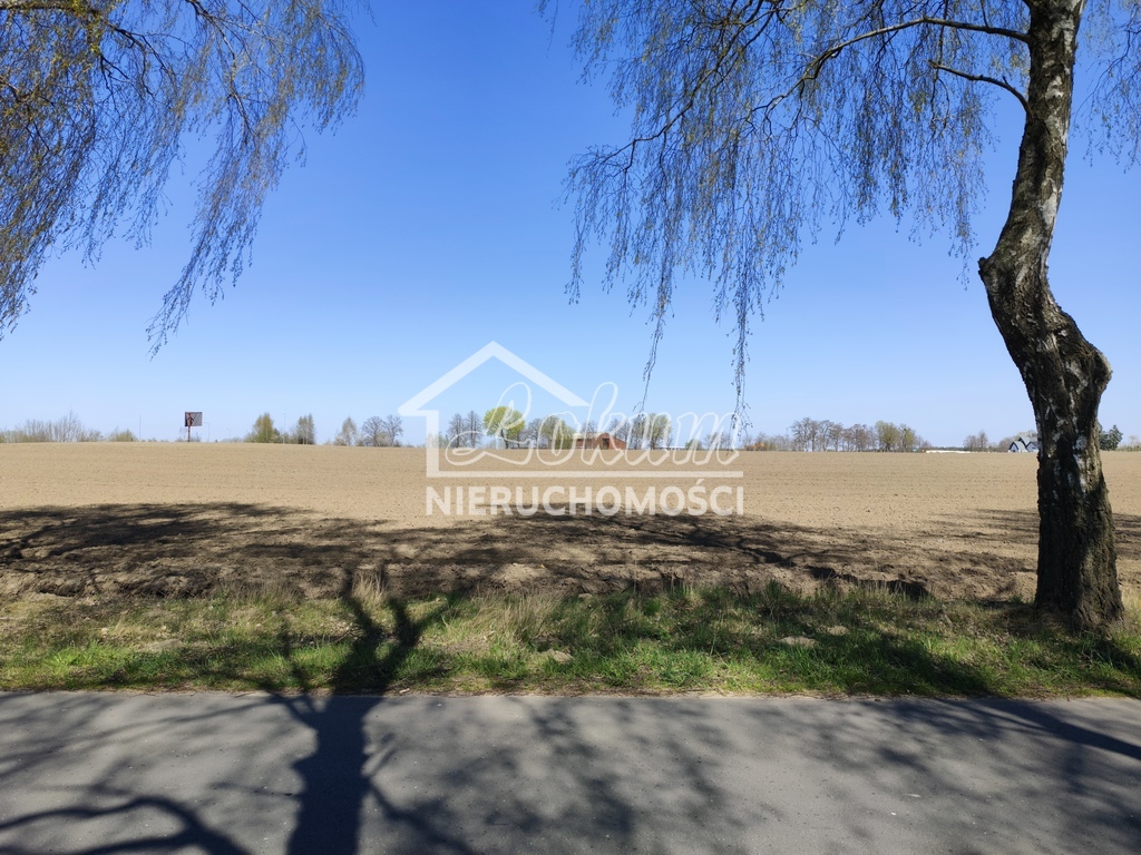 Działka inwestycyjna 6,42&nbsp;ha, Wojcieszyn - zdjęcie 4