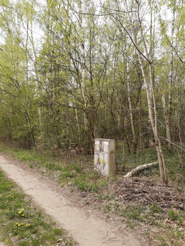 Działka rekreacyjna 1190 m², Cyprianów - zdjęcie 3