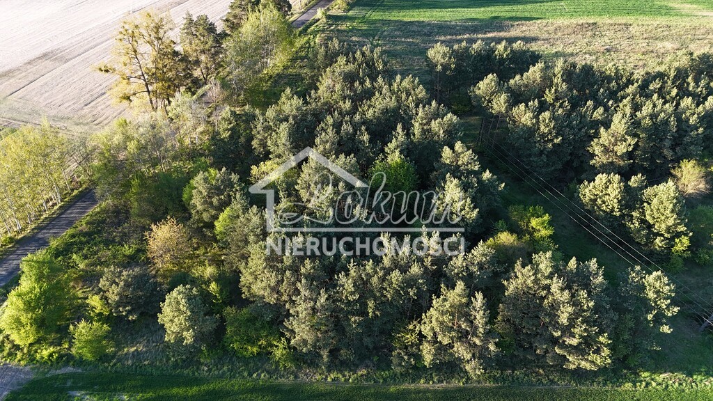 Działka budowlana 3005 m², Steklno - zdjęcie 7