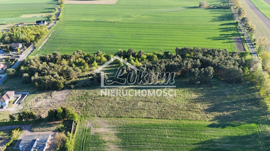 Działka budowlana 3005 m², Steklno - zdjęcie 11