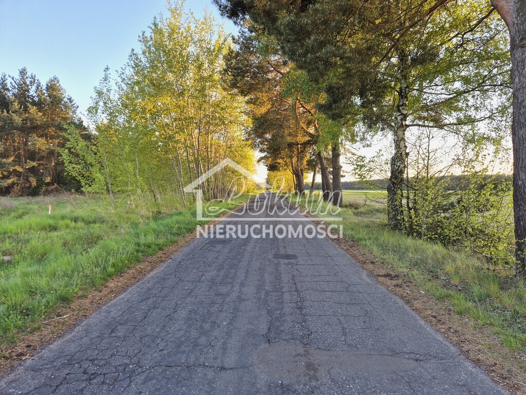Działka budowlana 3005 m², Steklno - zdjęcie 14