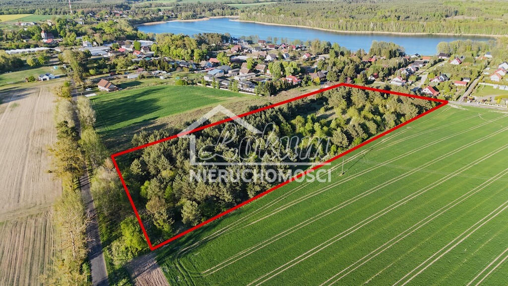 Działka budowlana 3005 m², Steklno - zdjęcie 2