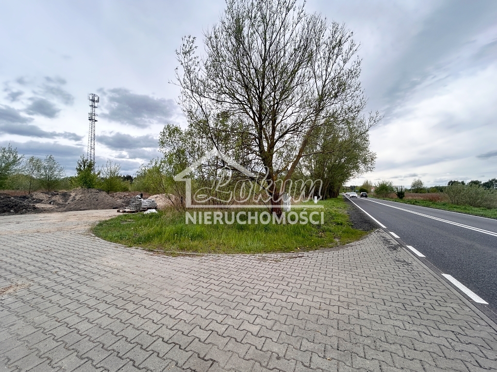 Działka inwestycyjna 7246 m², Szczecin, Dąbie, Lubczyńska - zdjęcie 3