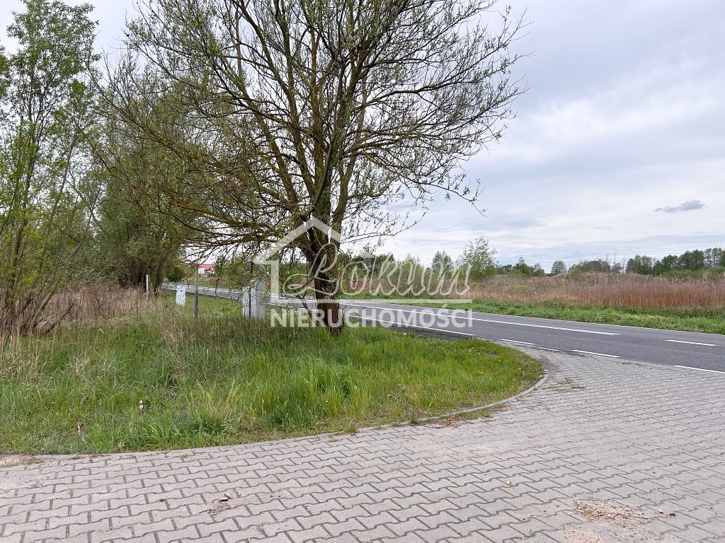 Działka inwestycyjna 7246 m², Szczecin, Dąbie, Lubczyńska - zdjęcie 4