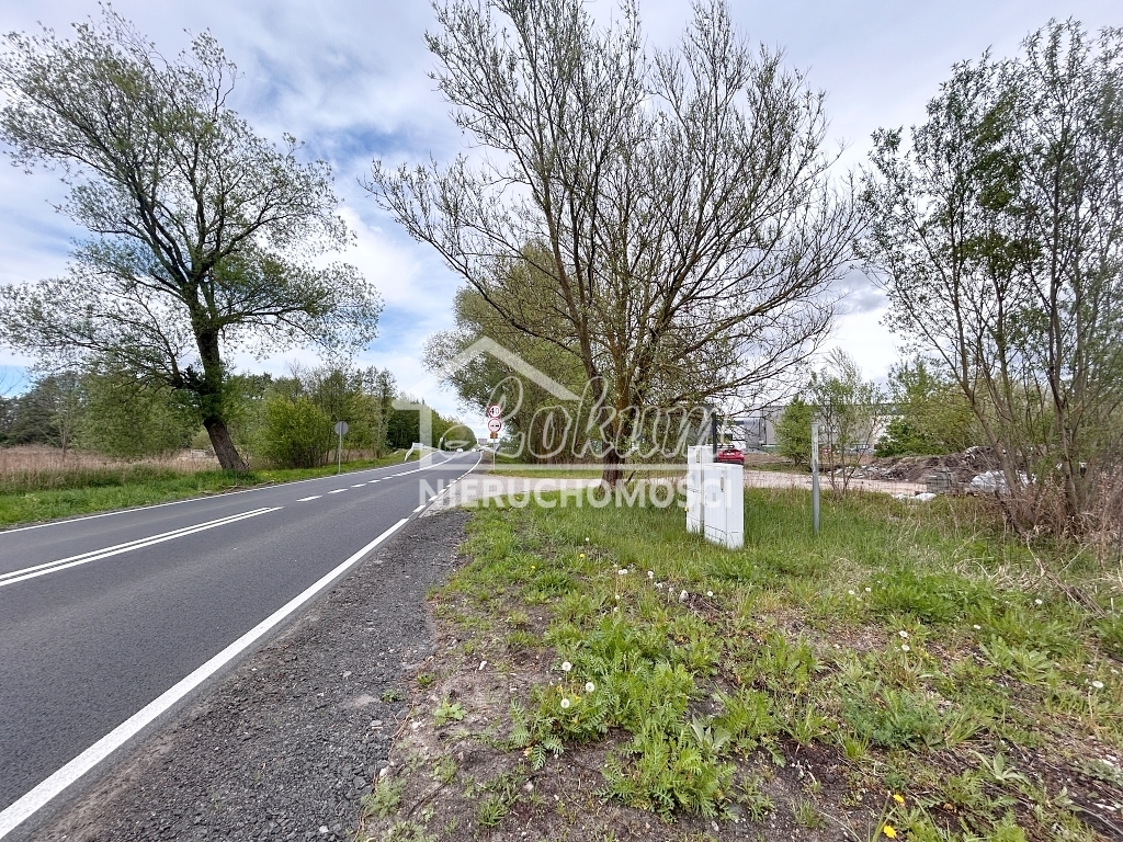 Działka inwestycyjna 7246 m², Szczecin, Dąbie, Lubczyńska - zdjęcie 5