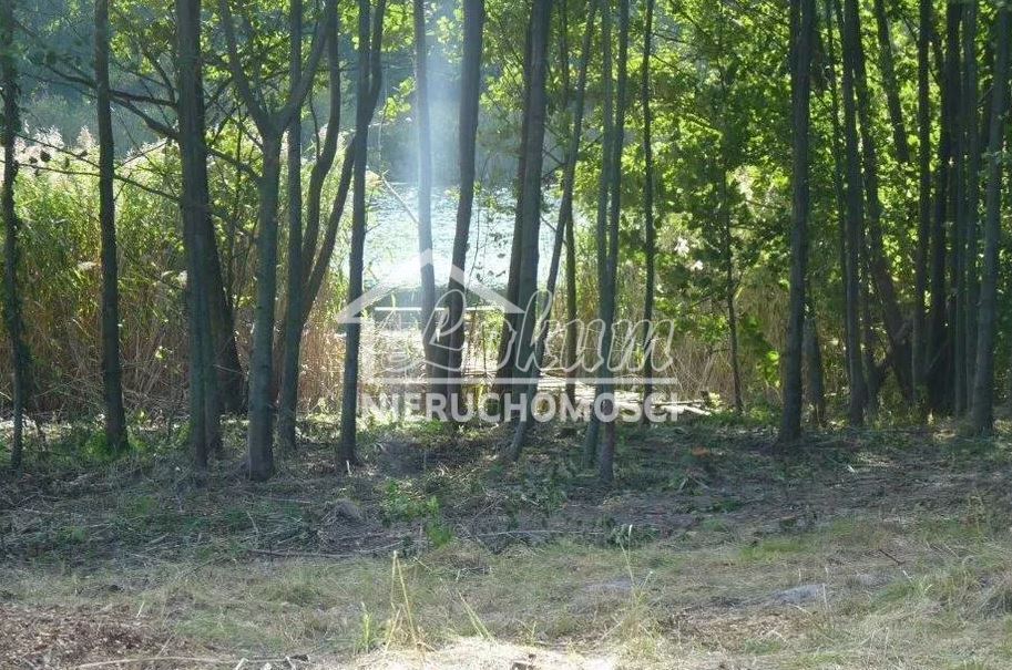 Działka rolna 1,14 ha, Zieleniewo - zdjęcie 5