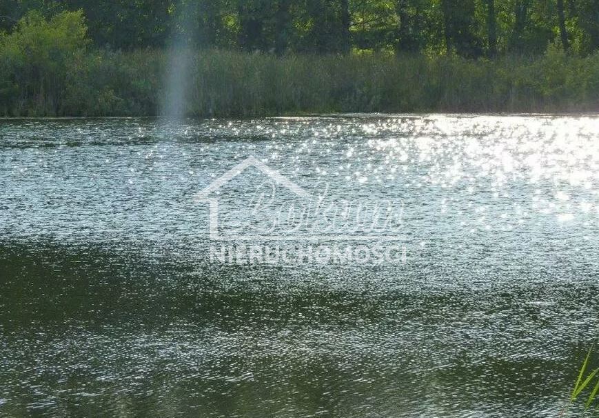 Działka rolna 1,14 ha, Zieleniewo - zdjęcie 7