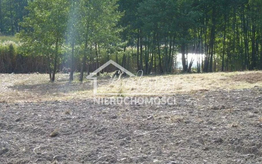 Działka rolna 1,14 ha, Zieleniewo - zdjęcie 4