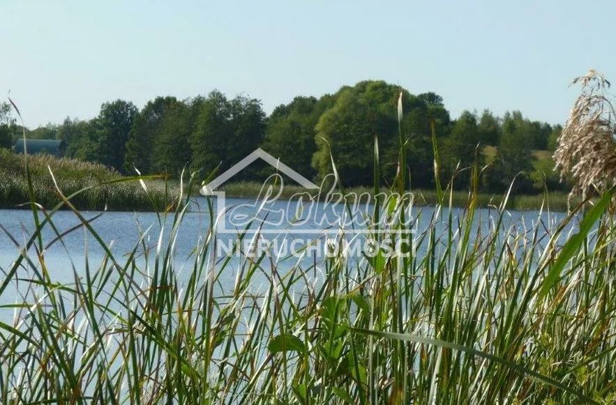 Działka rolna 1,14 ha, Zieleniewo - zdjęcie 6