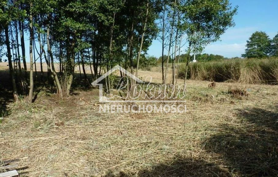 Działka rolna 1,14 ha, Zieleniewo - zdjęcie 2