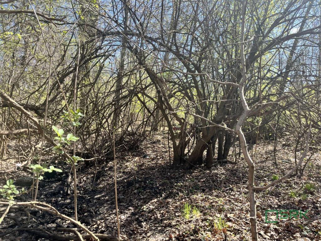 Działka inwestycyjna 1,24 ha, Zabrze, Al. J.Nowaka-Jeziorańskiego - zdjęcie 2