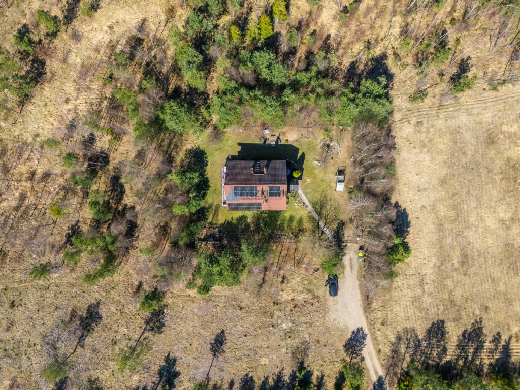 Dom w otoczeniu natury | Bory Tucholskie | 1,3 ha - zdjęcie 29